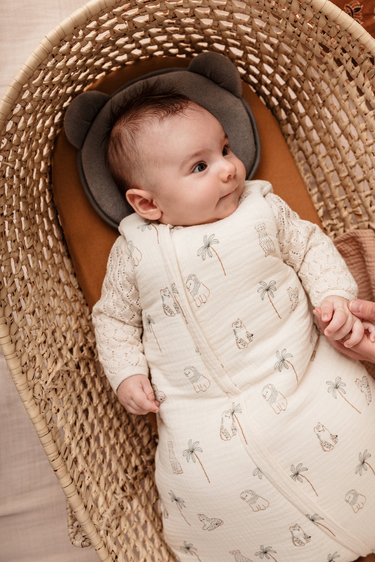 Mini Sleeping Bag 0-3 Months Leo & Maya 55cm Candide