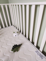 Saltea pentru copii Multi-Sezon 60X120X10cm Tineo
