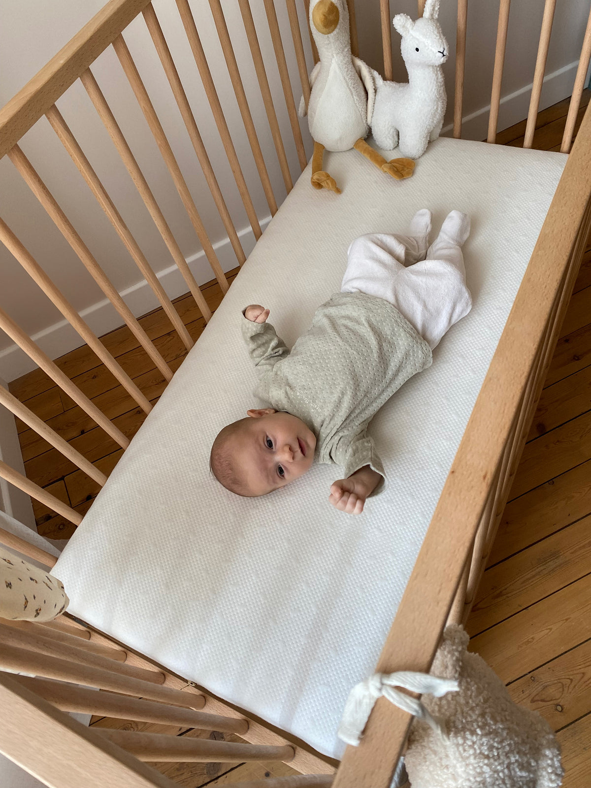 Organic Bed Mattress 60x120 (13cm Thickness) Candide