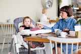 Bistro 2019 High Chair Grey