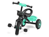 Embo Turquoise Tricycle Caretero Toyz
