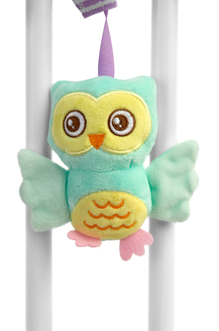 Educational Spiral Owl