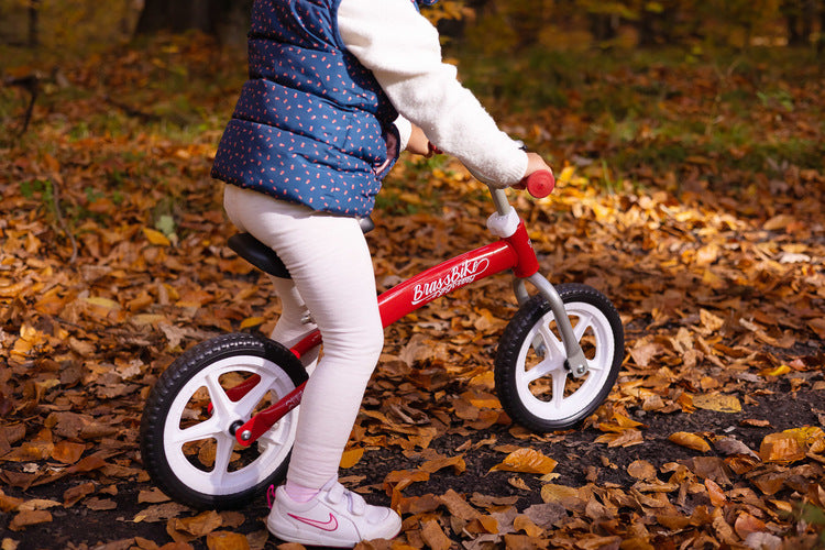 Roata de echilibru din alama - rosu Caretero Toyz