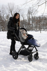 Geanta de iarna Aspen Silver