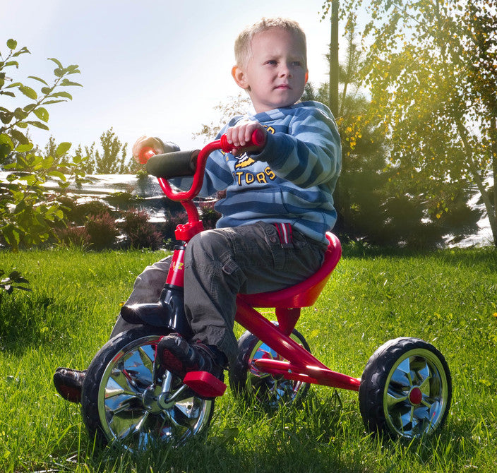 Триколка York Grey Caretero Toyz