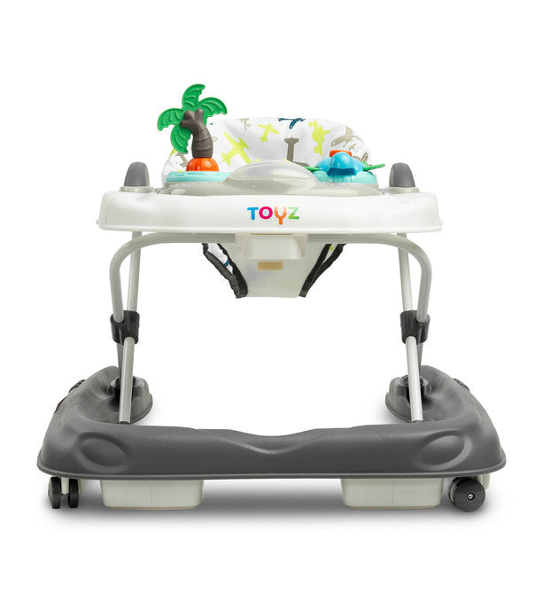 Проходилка Surf Fly Caretero Toyz
