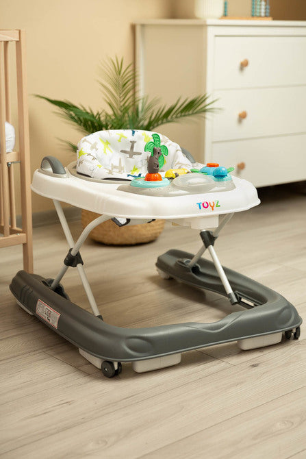 Проходилка Surf Fly Caretero Toyz