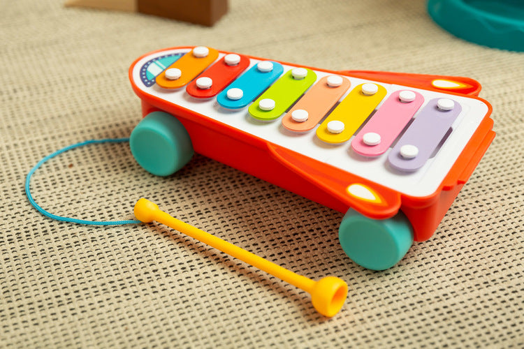 Educational Toy - Rainbow Cymbals Caretero Toyz