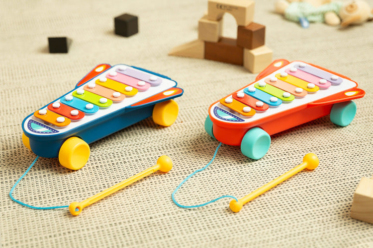 Educational Toy - Rainbow Cymbals Caretero Toyz