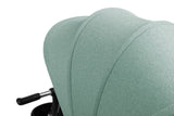 Dash Green Caretero Toyz Tricycle