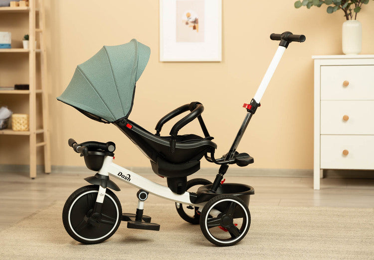 Dash Green Caretero Toyz Tricycle