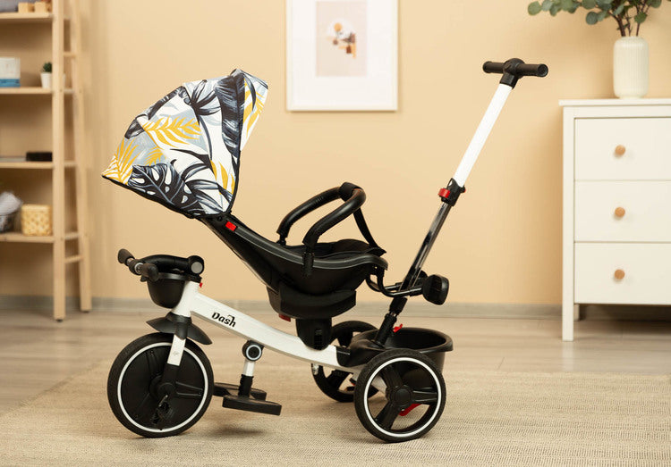 Dash Monstera Caretero Toyz Tricycle
