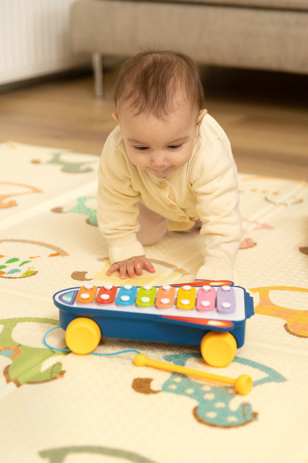 Educational Toy - Rainbow Cymbals Caretero Toyz