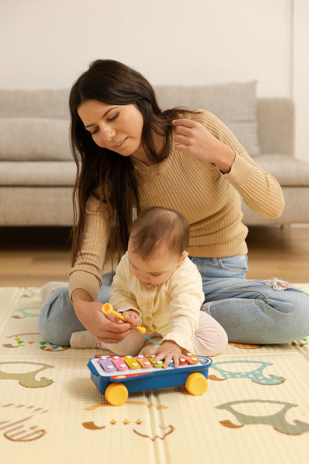 Educational Toy - Rainbow Cymbals Caretero Toyz