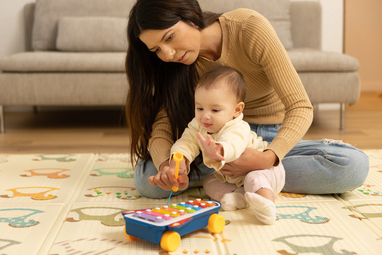 Educational Toy - Rainbow Cymbals Caretero Toyz