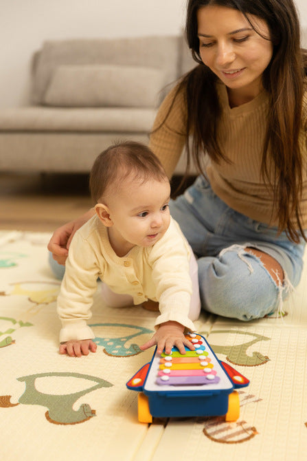 Educational Toy - Rainbow Cymbals Caretero Toyz