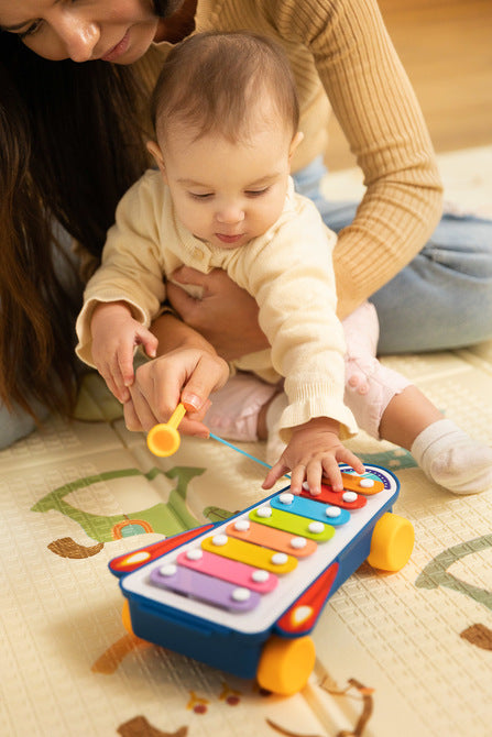 Educational Toy - Rainbow Cymbals Caretero Toyz