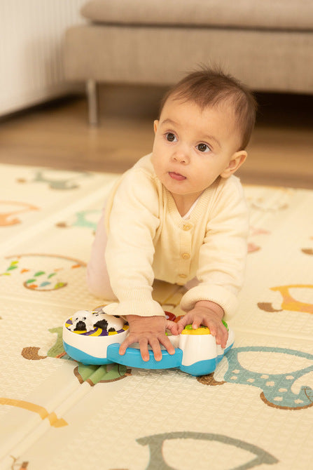 Educational Toy - Farm Piano Caretero Toyz