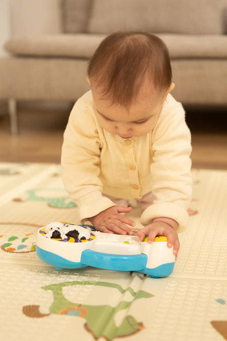 Educational Toy - Farm Piano Caretero Toyz