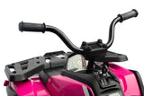 Mașină cu baterie Terra Pink Caretero Toyz