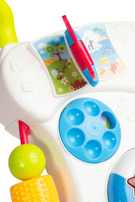 Musical Walker Rainbow Caretero Toyz