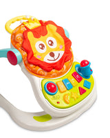 Multifunctional Walker Caretero Toyz