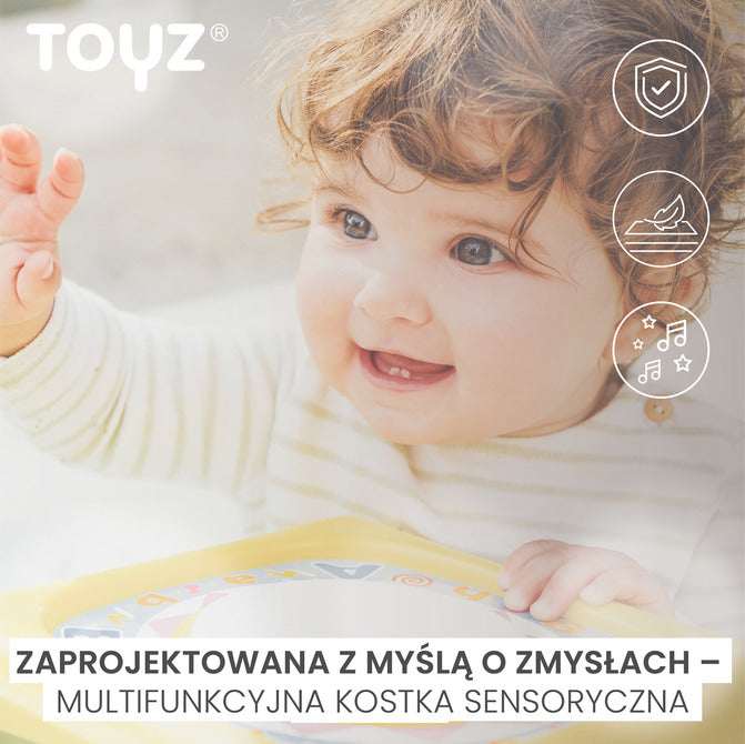 Sensory Cube and Sorter Caretero Toyz