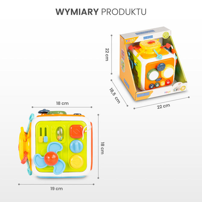 Sensory Cube and Sorter Caretero Toyz