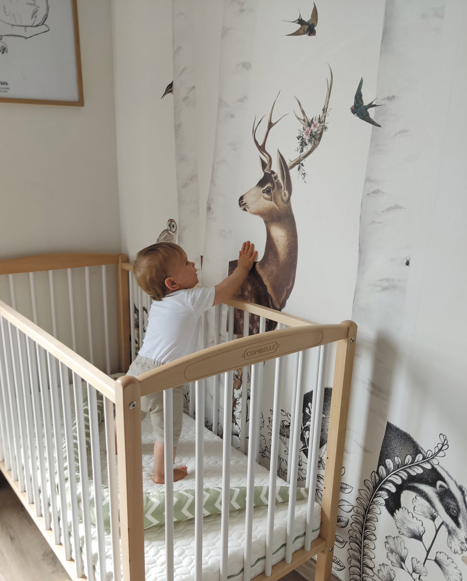 Матрак Следващ Растежа На Бебето Fresh 60X120См (12См Дебелина) Candide