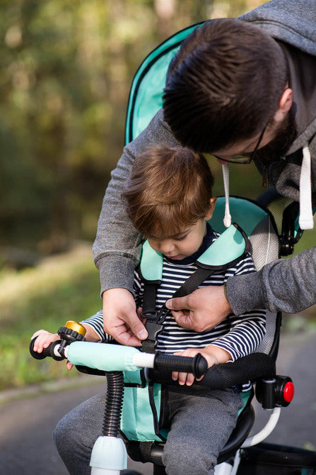 Triciclu Wroom Roșu Caretero Toyz
