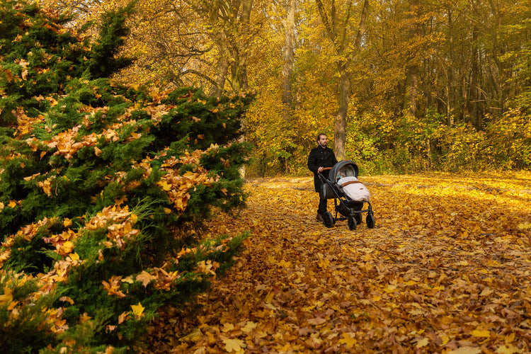 Geanta de iarna cu 3 straturi Indiana Ash Grey