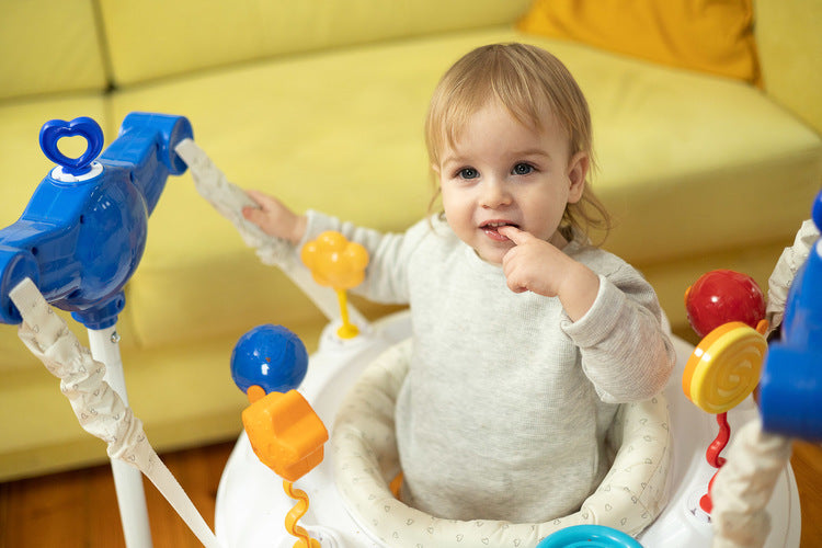 Bungee Small Red Caretero Toyz