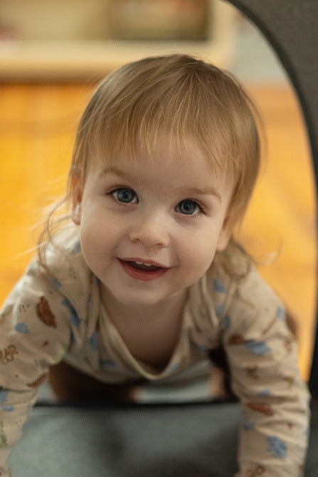 Tarc Pliabil 2 Nivele Cu Laterat Esti Menta Caretero 