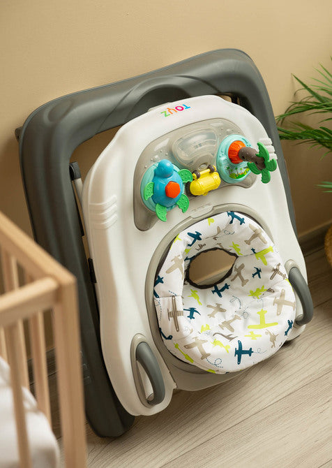 Проходилка Surf Fly Caretero Toyz