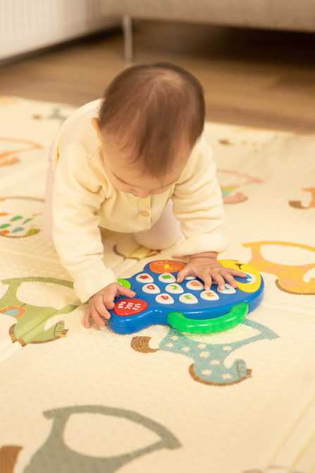 Jucărie educativă - Pește muzical Caretero Toyz