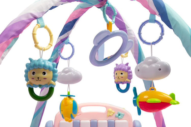 Gimnastica activa Vis roz Caretero Toyz