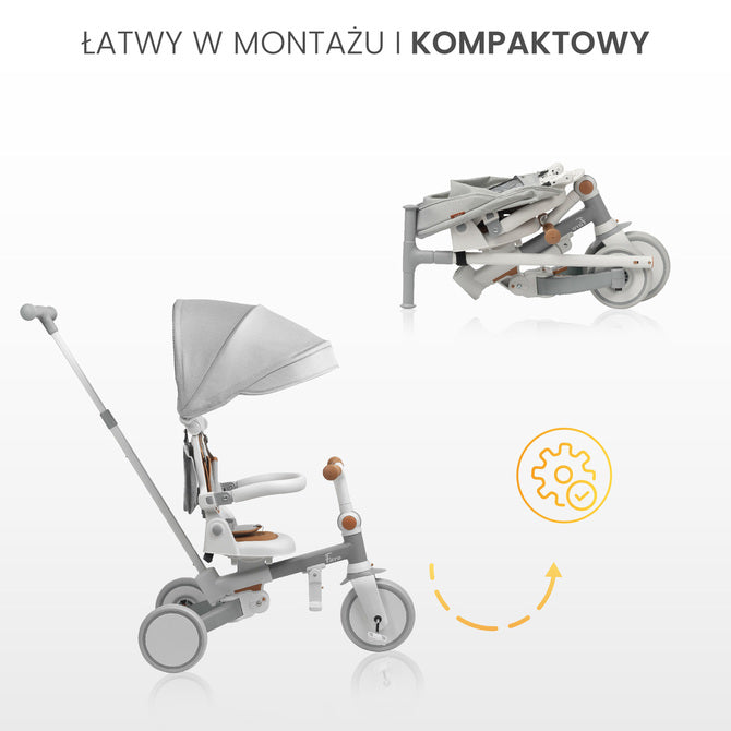 Tricicletă și bicicletă echilibrată 2 în 1 Faro Pink Caretero Toyz 