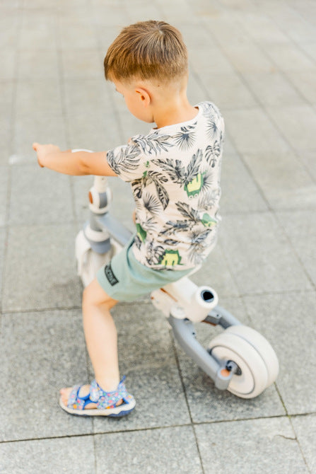 Tricicletă și bicicletă echilibrată 2 în 1 Faro Pink Caretero Toyz 