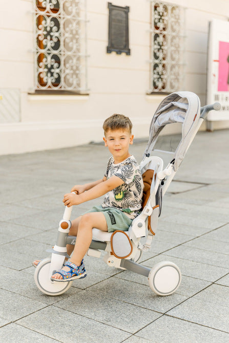 Tricicletă și bicicletă echilibrată 2 în 1 Faro Pink Caretero Toyz 