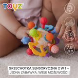 Образователна Играчка - 2В1 Дрънкалка И Гризалка 0+ Toyz
