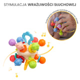 Образователна Играчка - 2В1 Дрънкалка И Гризалка 0+ Toyz