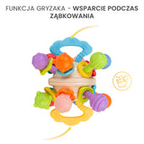 Образователна Играчка - 2В1 Дрънкалка И Гризалка 0+ Toyz
